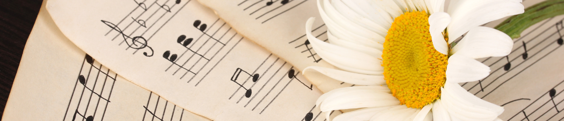 Music sheets with a white flower