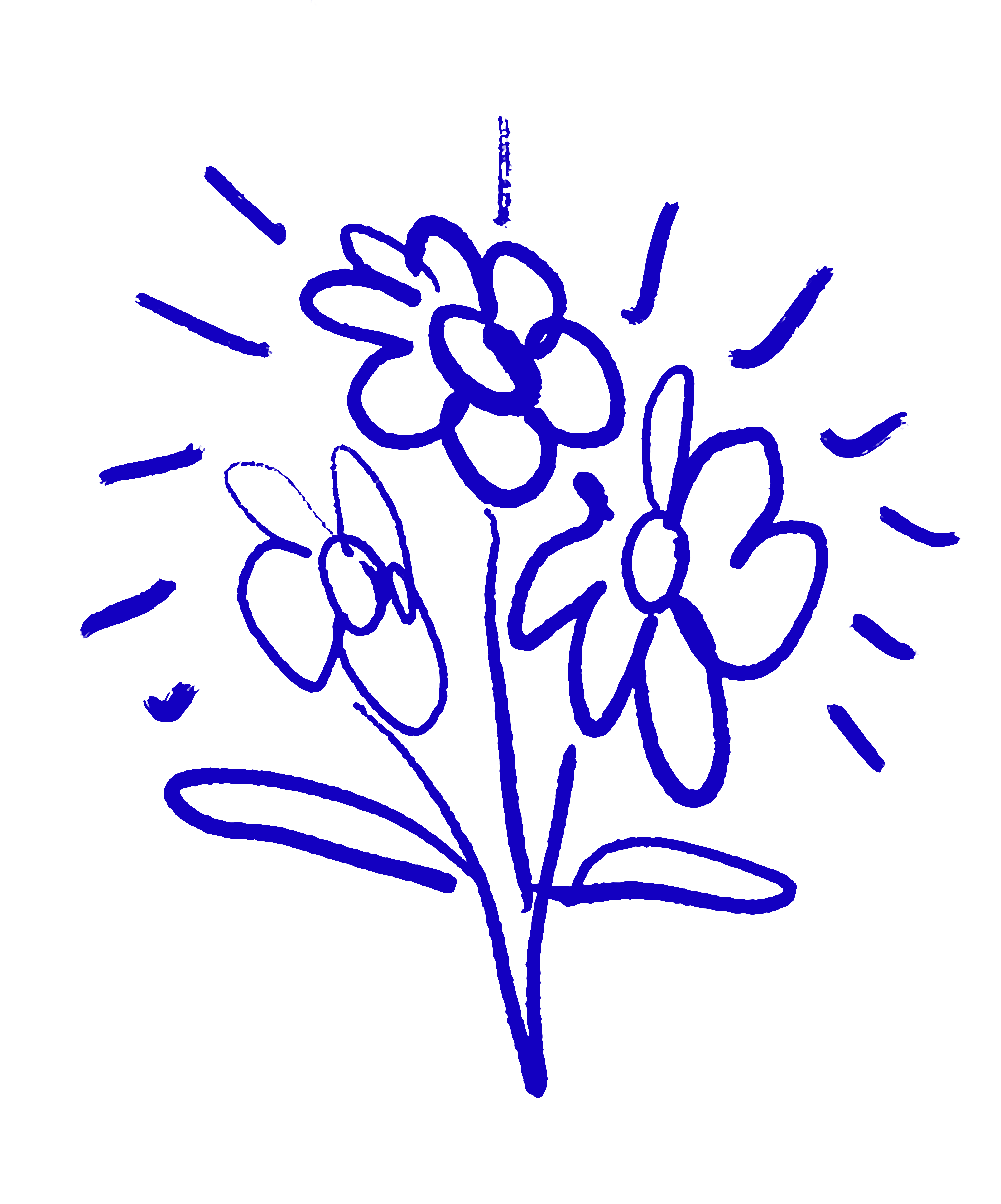 A blue sketch of three flowers